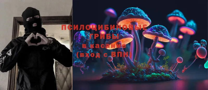 Псилоцибиновые грибы Cubensis  Набережные Челны 